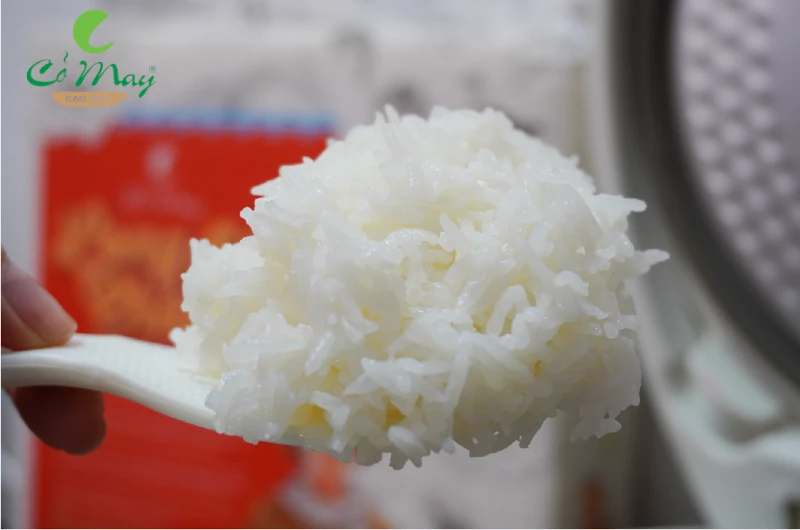 Gạo Long Châu 66 lúa tôm túi 5kg 8 Cơm gạo Long Châu 66 Cỏ Mây