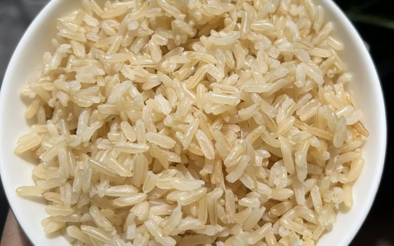 Cơm gạo mầm Vibigaba