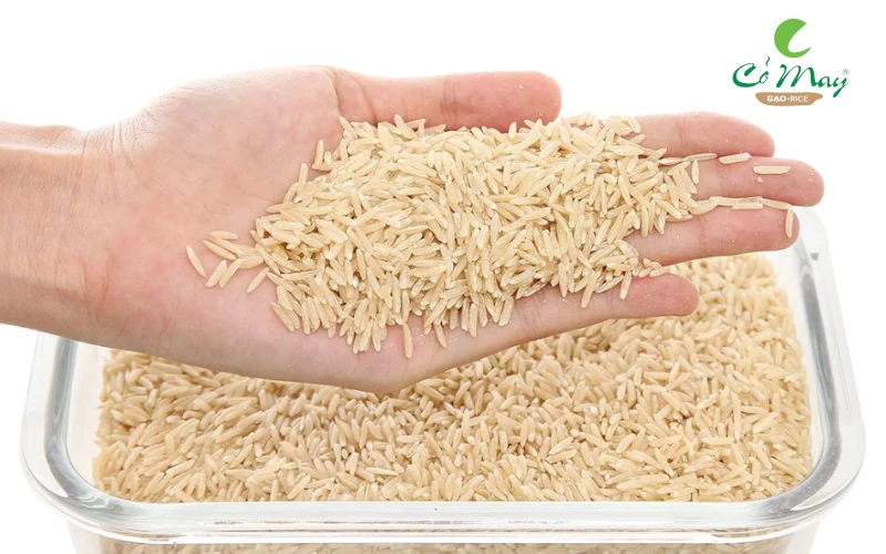 Hạt gạo lứt nâu nguyên cám